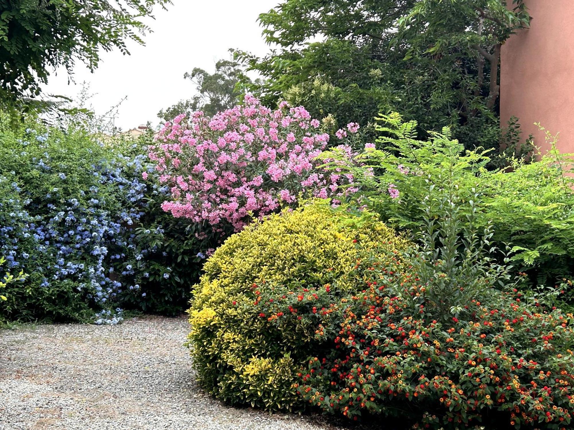 Le Clos Des Arbousiers Linguizzetta エクステリア 写真