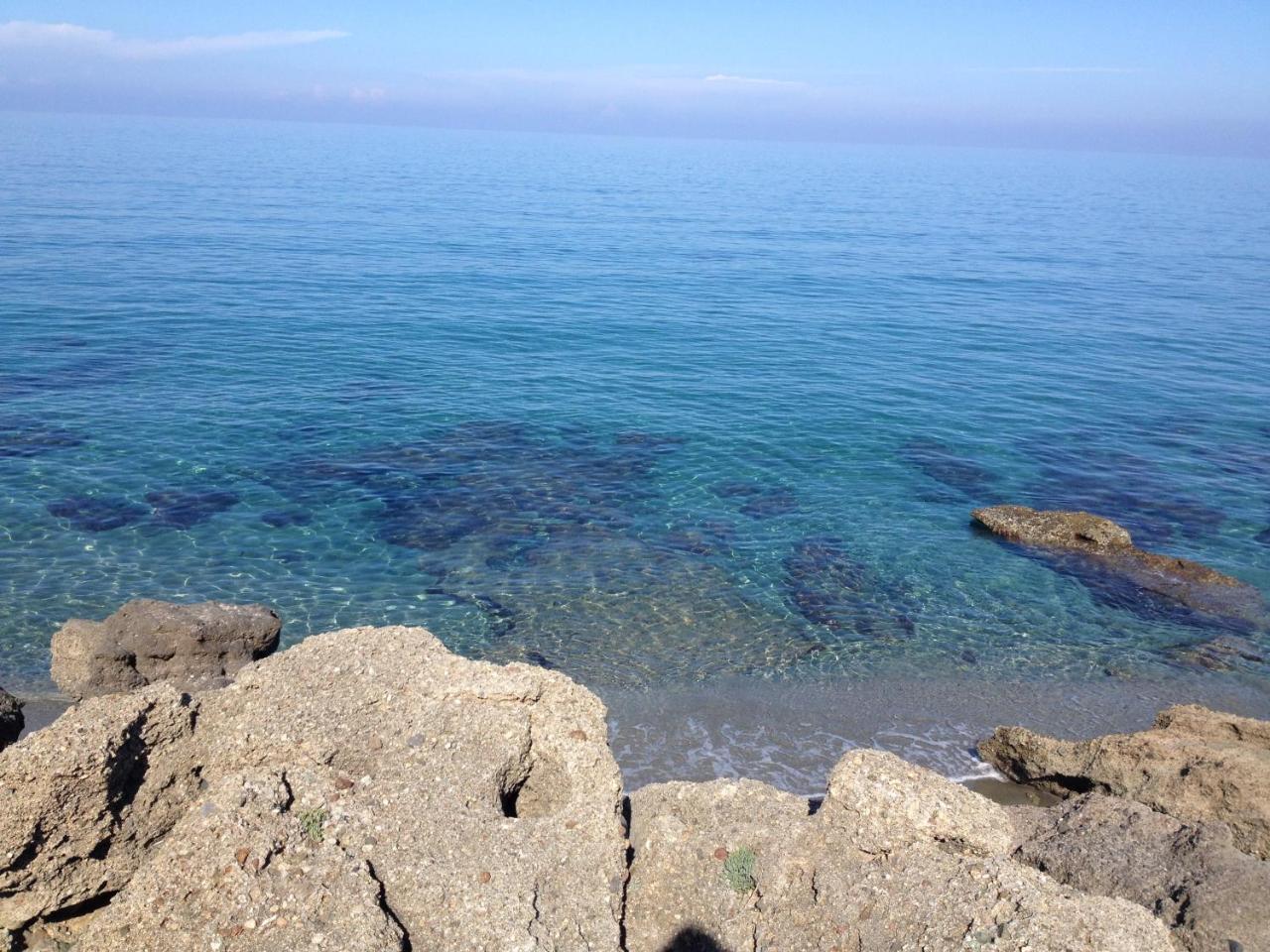 Le Clos Des Arbousiers Linguizzetta エクステリア 写真